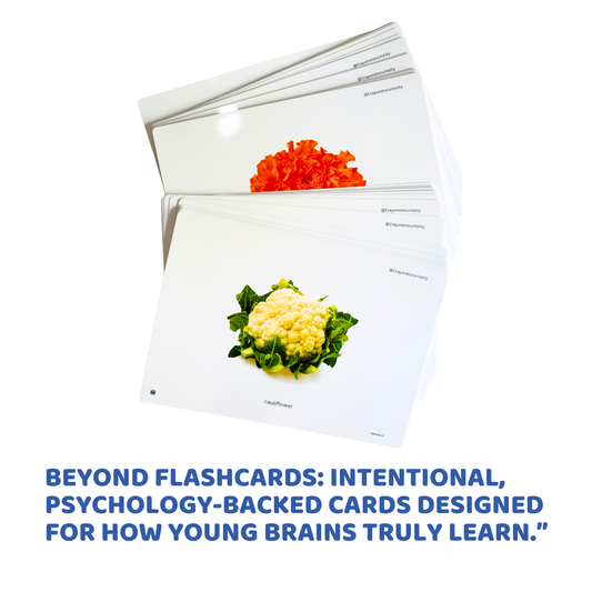 A4-sized, bright & engaging cards |One Real Image at a Time|Pack of 50 Cards.