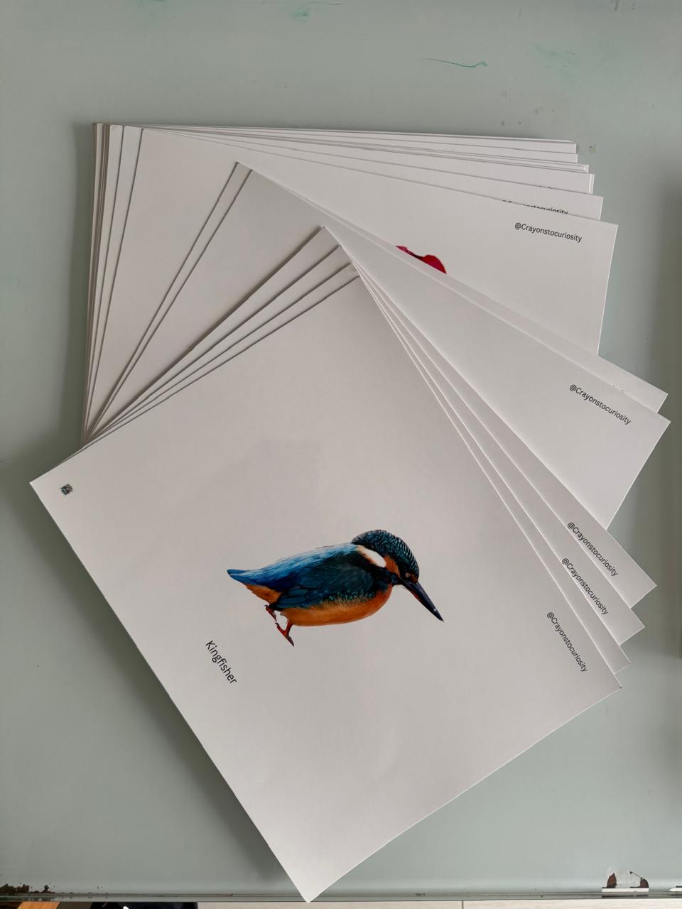 Build Your Baby’s First Vocabulary Bank — One Real Image at a Time.