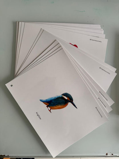 Build Your Baby’s First Vocabulary Bank — One Real Image at a Time.