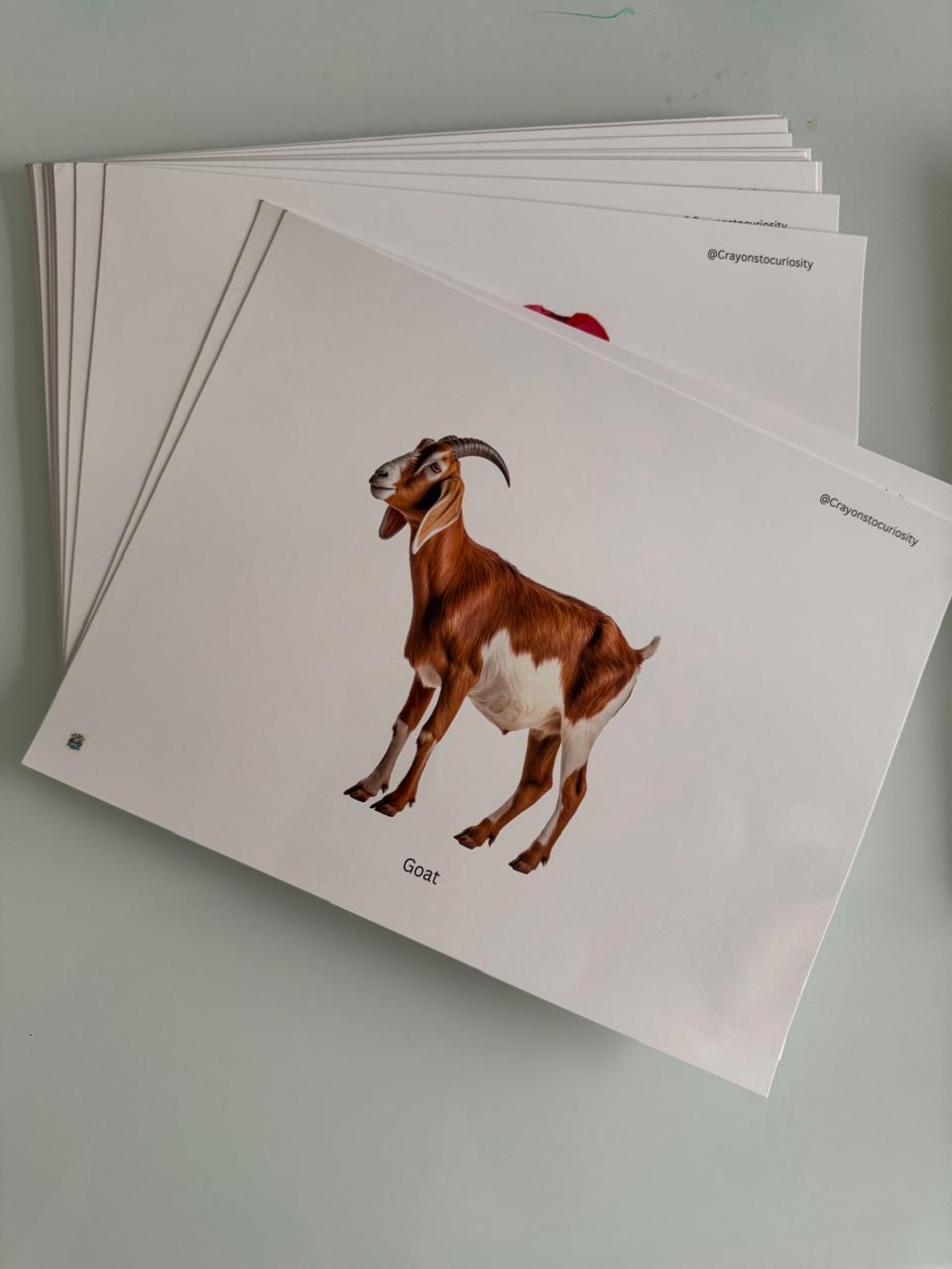 Build Your Baby’s First Vocabulary Bank — One Real Image at a Time.