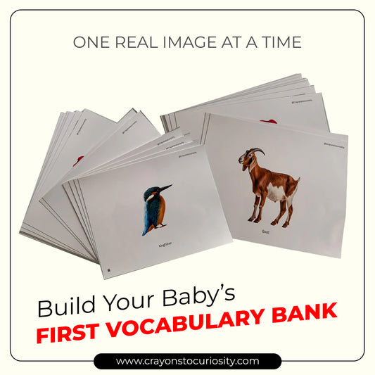 Build Your Baby’s First Vocabulary Bank — One Real Image at a Time.